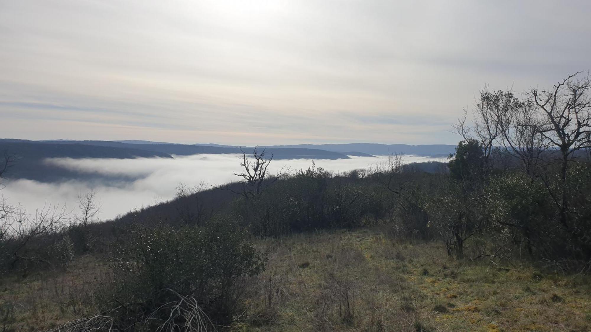 Seuls En Pleine Nature - Gite La Cote Blanche Puygaillard-de-Quercy Buitenkant foto