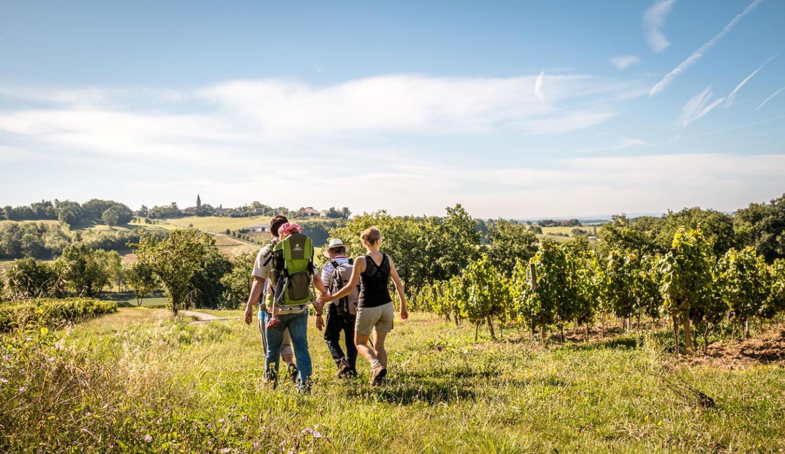 Seuls En Pleine Nature - Gite La Cote Blanche Puygaillard-de-Quercy Buitenkant foto