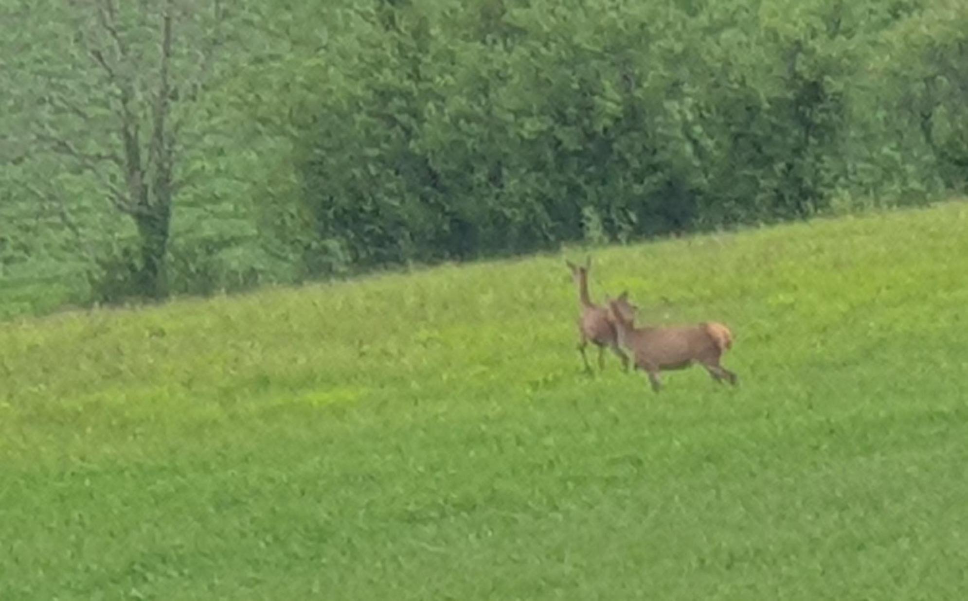 Seuls En Pleine Nature - Gite La Cote Blanche Puygaillard-de-Quercy Buitenkant foto