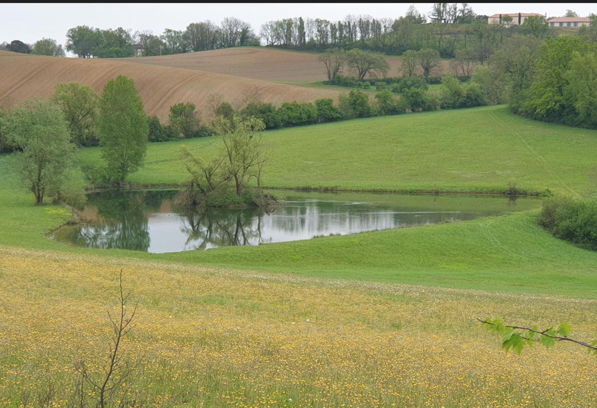 Seuls En Pleine Nature - Gite La Cote Blanche Puygaillard-de-Quercy Buitenkant foto