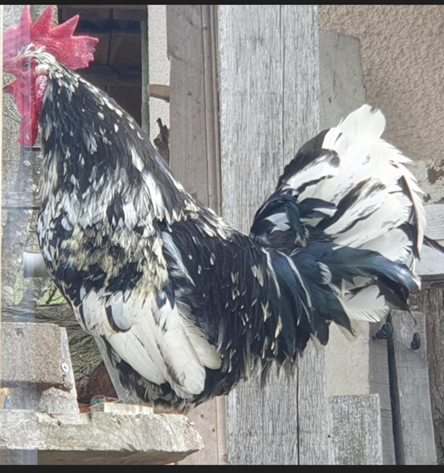 Seuls En Pleine Nature - Gite La Cote Blanche Puygaillard-de-Quercy Buitenkant foto